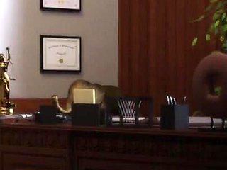 The Genesis Order - Ep 82 - This Was Crazy by Misskitty2k