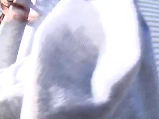 JNEFRNSKVQQUKFJTWS52NHDTC071