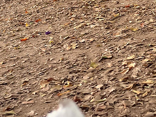 My Neighbor Is Caught Masturbating