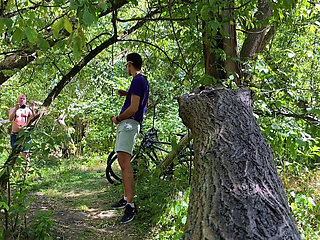 Dick Sucking in the Forest