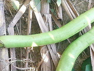 Went to the forest and took a very long Begum in the ass.