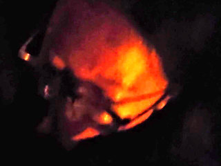 Blowjob in the Street