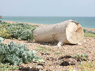 Insatiable Amarna Miller Gets Her Pussy Stuffed Balls Deep