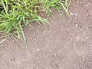 To get sister-in-law's beautiful pussy, he went from house to field to get four katwans with him, brother-in-law fucked sis