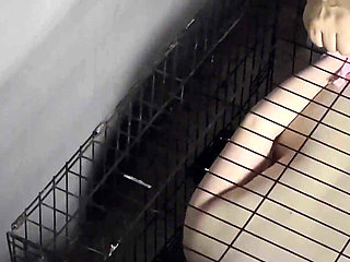 Two Guys Locked girls in a Cage and All Night
