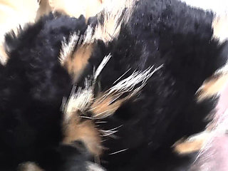 Ejaculation Training: Sniffing and Cumming on a Fur Scarf, Lady Victoria Valente