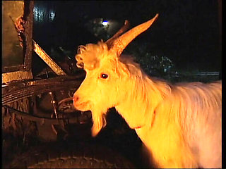 Naked Woman On Fire Vol.4 Full Movie - Claudia Jamsson, Karli Sweet, Backey Jakic Anal, Big Tits, Blowjob, HD Vintage