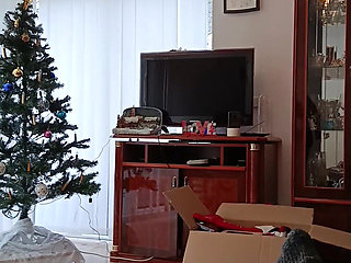 I Helped My Sick Friend Decorate the Christmas Tree.