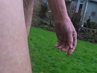 Another Backyard Stroll