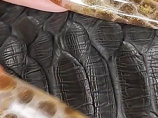 My Extra Long Snakeskin Nails Fuck Your Mind