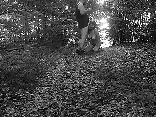 Pet Girl Obedience Training