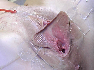 3 Licking Pussy Spread Far From Very Close