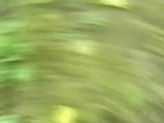 Beautiful Foggy Girls Suck It to a Black Guy with a Huge Cock