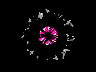 My Pussy and the Lovense Lush 3