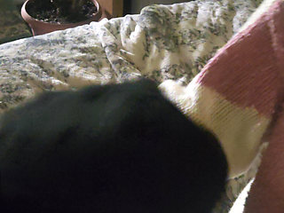 Goode Girl Nylonplay with Hubby's Cock and Balls