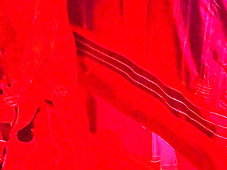 Couple Swing on a Swing