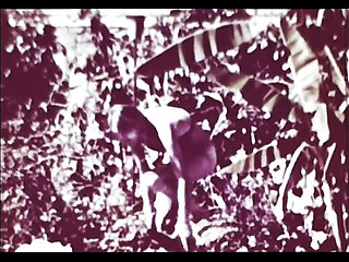 Vintage porn retro erotic theatre - wild sex 5