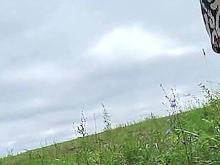 Big Compilation of Foot Fetish Cumshots for BBW Mistress