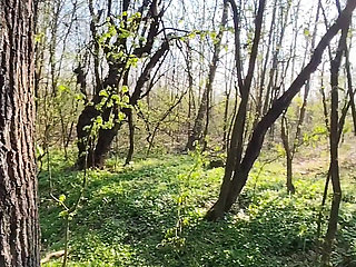 In public a quick blowjob in the forest with oral cum! Delicious!