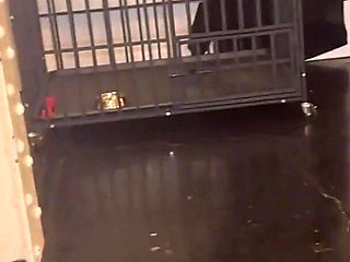 Beating the Slave Red