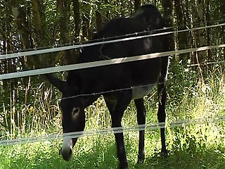 Chocolate French bitch shares dicks with hot slut outdoors