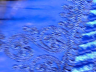 Sex Arab Wife Big Ass