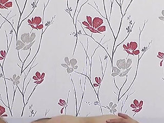 127 - 02 Babe Fucks for Cumshot