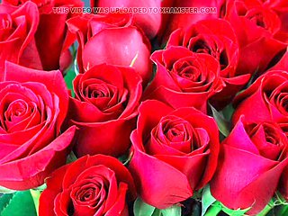 Desi Mazaa explores steamy bhabhi Indian sex in the village