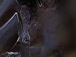 Sex Fun. Cartoon