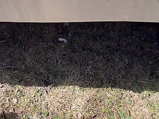 Pee on the Ground Near Truck Wheel