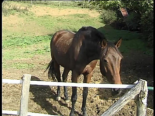 The Anal Desires of a Slut in Heat