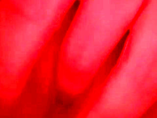 My wife always wants cock