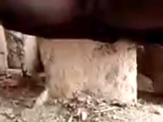 Old Lady Hadzabe Tribe Has a Big Pussy with Long Rabia