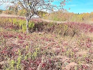 Perfect Body Tiny Petite Hana