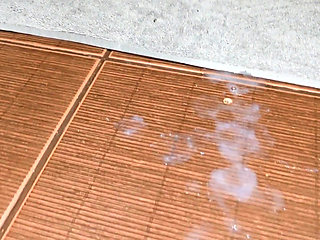 We Can Share the Bathroom but Fuck Me First, Just Don't Get Me Pregnant