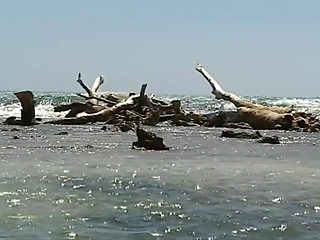 Doctor Max To the Caribbean: a story of white sluts and black cocks