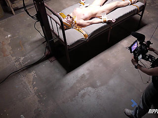 Bondage Redhead Sophia Locke Giggles During Quality Assurance