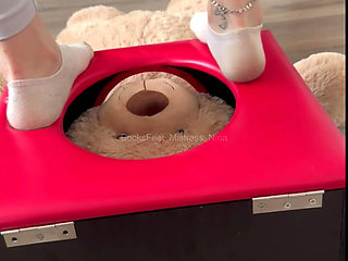 How much would you like to be the teddy bear in the box?