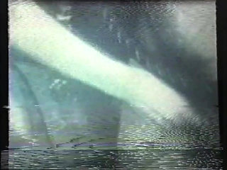 Wild Perverted Sluts