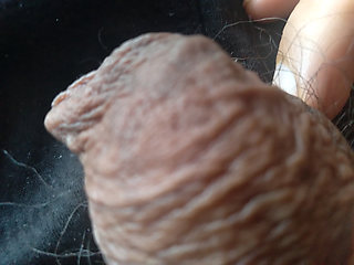 day of my big penis, say hello