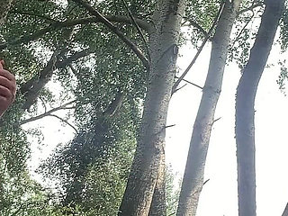 Flashing You in the Woods