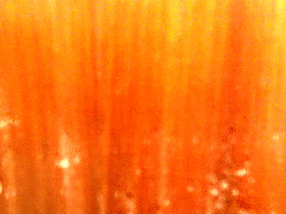 Naughty arabic girl touching my cock for the first time