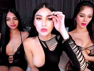 Beautiful shemale ladyboy masturbates
