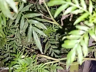 Evening Hookup with the Neighbor Next Door