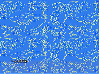 The Selkie (part 1)