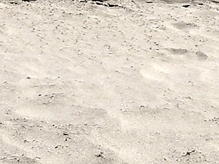 On the Beach Nude