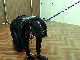 Ordinary Girl in Bitch Training
