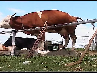 Vintage Blonde MILF Gets Rough Outdoor Fuck on Farm