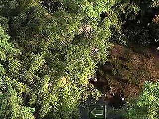 The Genesis Order V65031 Part 186 Mystery and Boobs by Loveskysan69