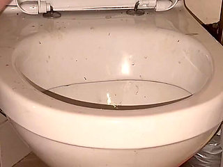 Licking Dirty Floor and Toilet, Flashing Head in It